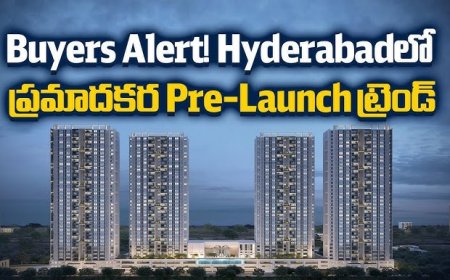 Too tempting to not accept the diamond-like offer?