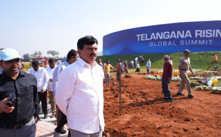 Hyderabad Gears Up for Telangana Rising Global Summit: International CEOs, Cultural Shows & More