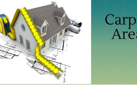 కామ‌న్ ఏరియా కామ్‌గా పెరుగుతోందా?