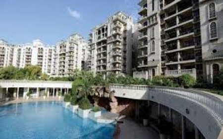 Noida Tops Premium Housing Price Growth   Mumbai, Gurugram and Bengaluru Follow: Savills India