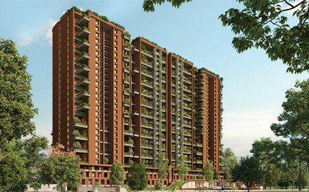 Total Environment Launches Final Phase of ‘Songs from the Wood’ in Pune