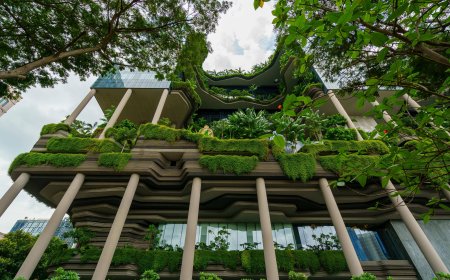 Hyderabad Builders Told to Follow Green Building, EV and Safety Rules