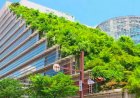 TG pushes green housing agenda