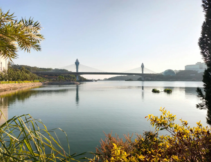 Musi revival aims to tackle floods, sewage inflows