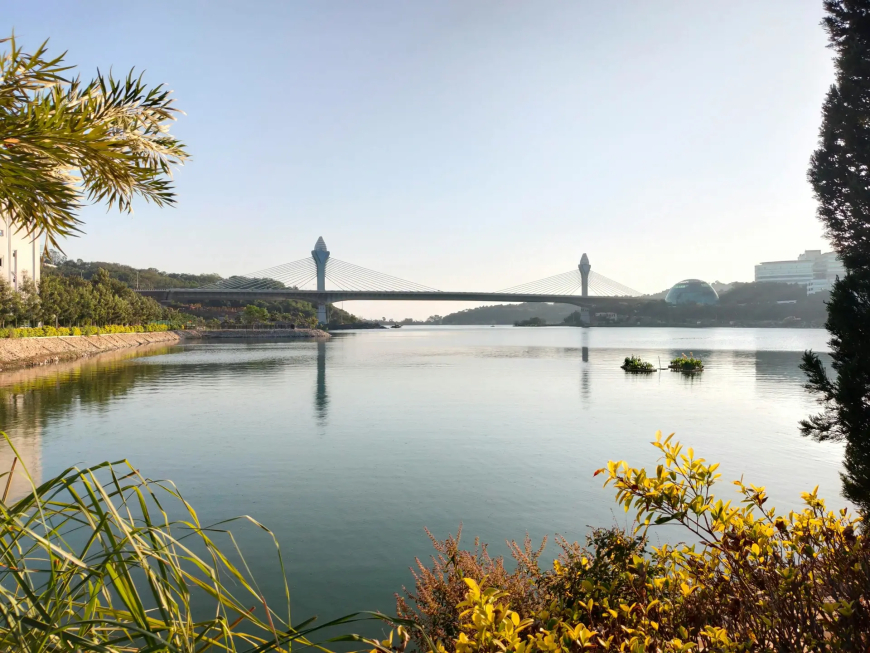 Musi revival aims to tackle floods, sewage inflows