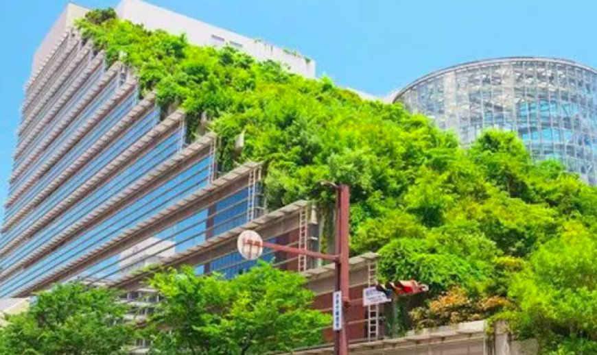 TG pushes green housing agenda