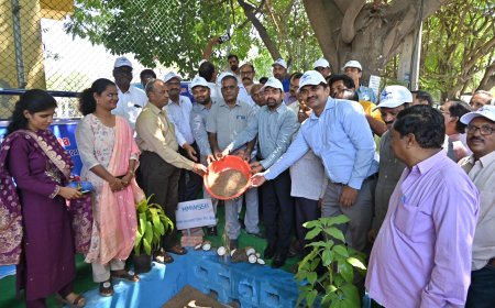 Water Board Completes 24,000 Rainwater Harvesting Pits; MD Urges Mandatory Structures in Plots Above 200 Sq Yards