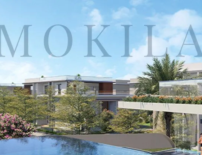 Mokila emerges as low-density growth hub