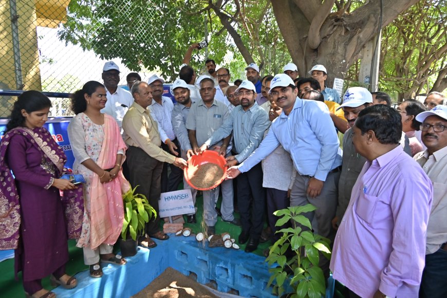 Water Board Completes 24,000 Rainwater Harvesting Pits; MD Urges Mandatory Structures in Plots Above 200 Sq Yards