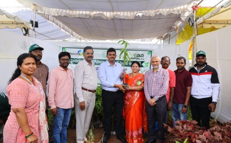 Residents Urged to Take Up Household Greening; HMDA Distributes Saplings to 800 Families 