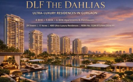 Penthouse hits stratosphere @₹271 cr  