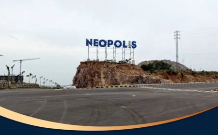 Neopolis needs social infrastructure, not just towers