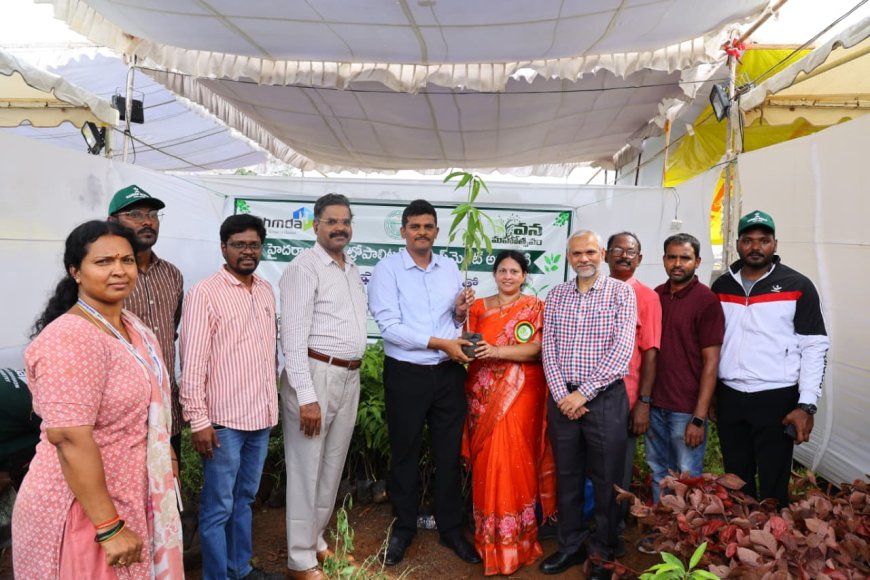 Residents Urged to Take Up Household Greening; HMDA Distributes Saplings to 800 Families 