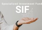 Specialised assets expand realty investment