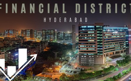 Financial District turns global business hub