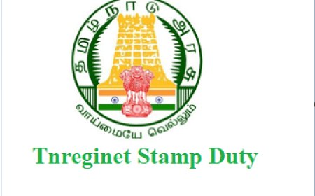 Stricter rules for layout registration in TN