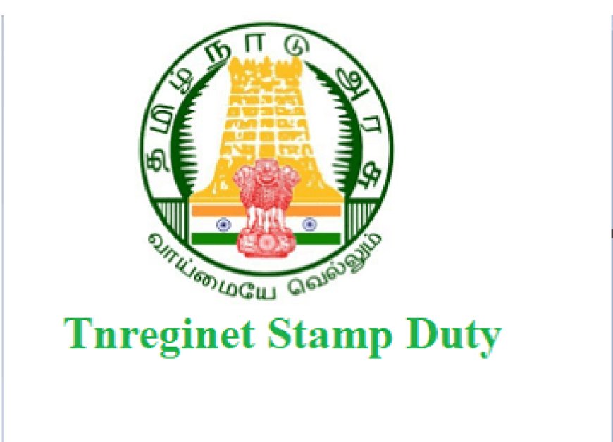 Stricter rules for layout registration in TN